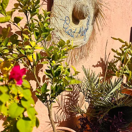 Riad Majwril-3