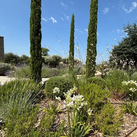 Le jardin suspendu-2