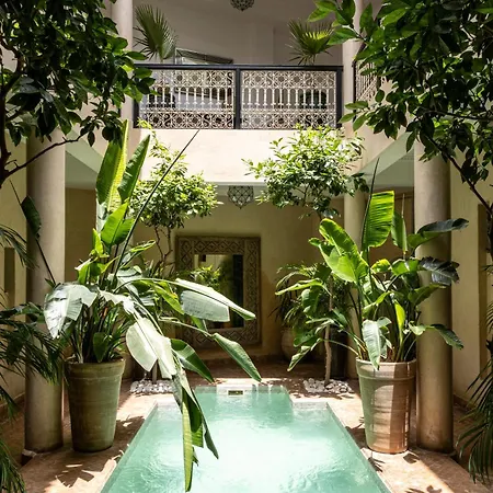 Riad O-3