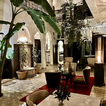 Riad Aya-3