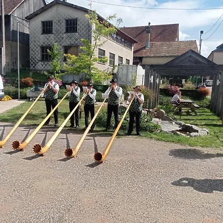 Plaisirs d'Alsace - Munster - Colmar - Route du vin-2