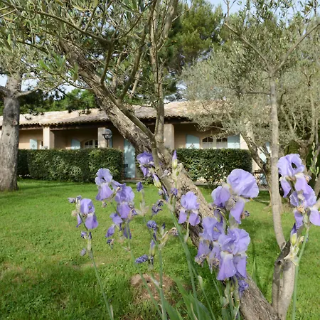 Hôtel Villa Glanum et Spa-3