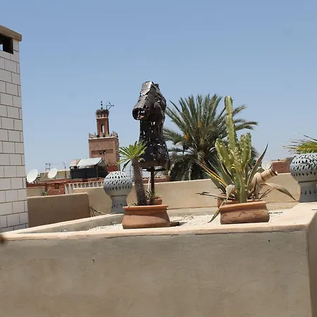 Riad Nafis-3