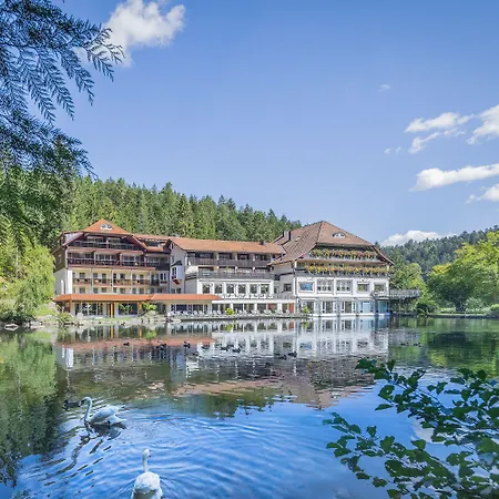 Hotel Langenwaldsee-2
