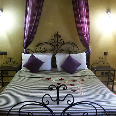 Riad Alida-2