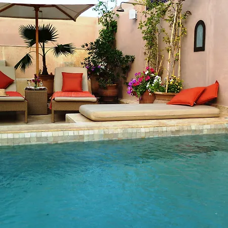 Riad Viva-2