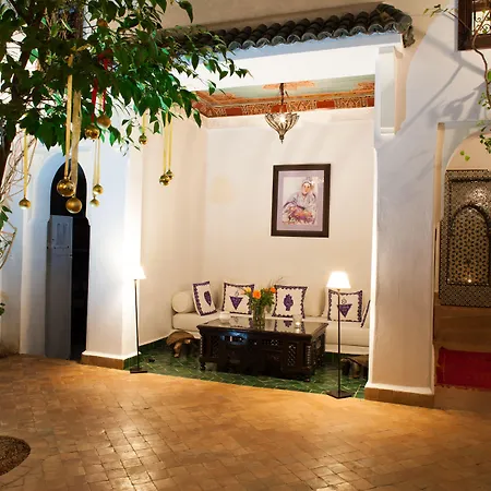Riad Chergui-2