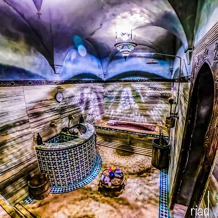 Riad Kaiss By Anika-3