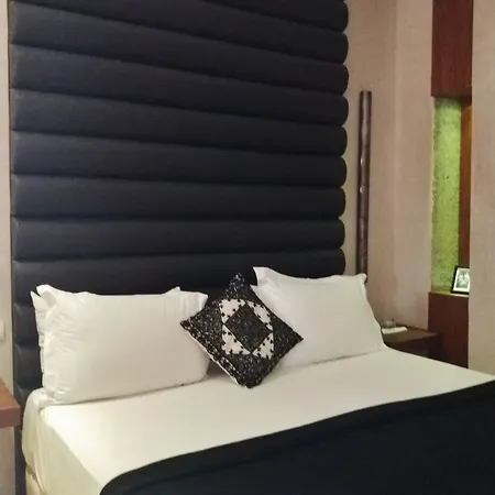 Riad Houma-3