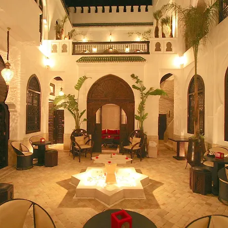 Riad Omri-3