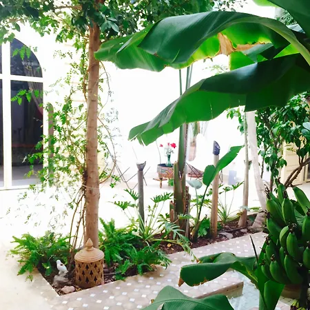 Riad 144-3