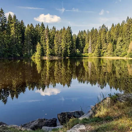 Hotel Baeren Titisee-3