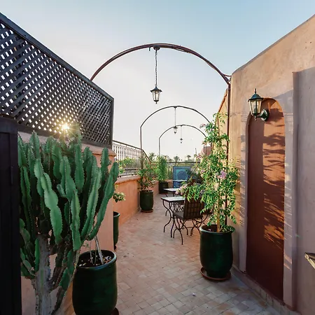 Riad El Hara-3