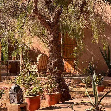 La Ferme Berbere (Adults Only)-2