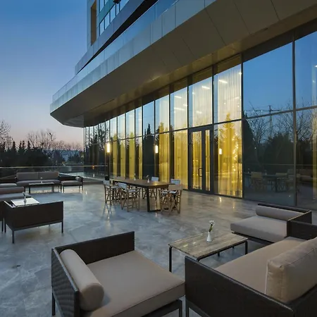 Hilton Garden Inn Istanbul Atatuerk Airport-2
