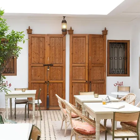 Riad Lamzia-2