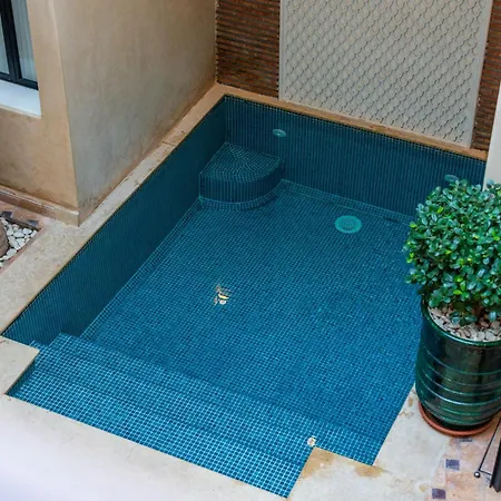 Riad Beldi-2