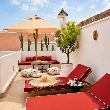 Riad Tizgui-3