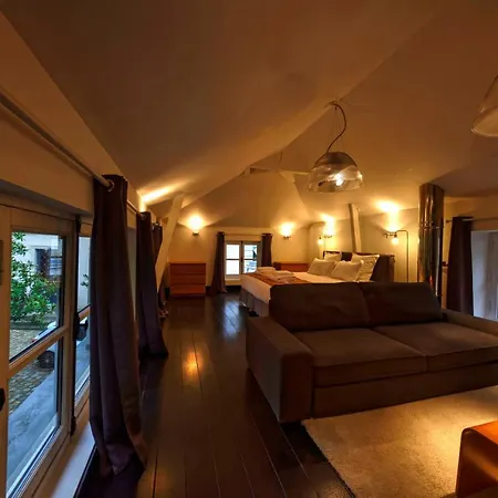 L'Hotel Particulier - Le Mans-2