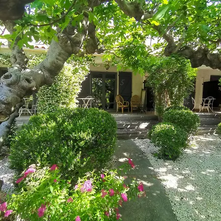 Hôtel Sous les Figuiers-2