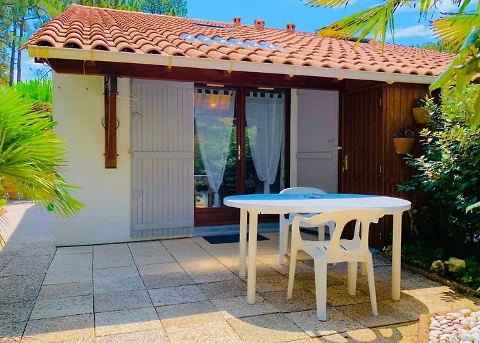  La Palmeraie   Villa résidentielle avec piscine La Palmyre