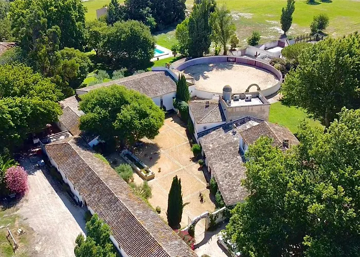 Villa Mas des Bécasses, en Provence - 22 personnes à Arles