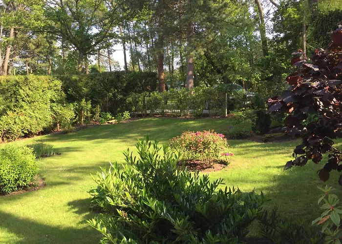 Villa d'hôtes Graine de Pin Le Touquet-Paris-Plage