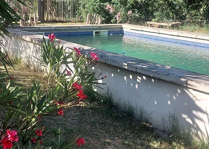 Bed and Breakfast Bergerie d'Alivon en Camargue à Arles