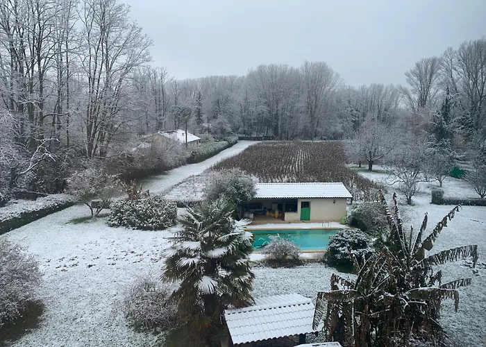 Maison d hotes GreenHouse Albi