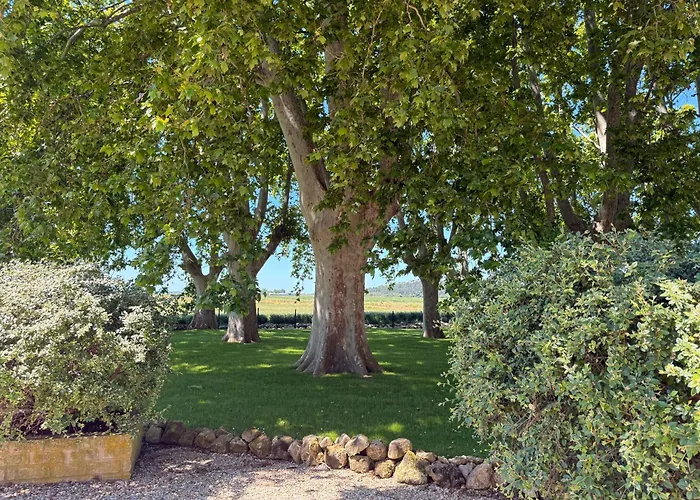 Le Domaine de Laforest Fontvieille
