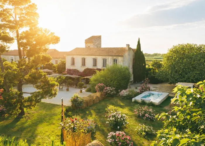 Maison Tara verte au Mas Montredon Arles
