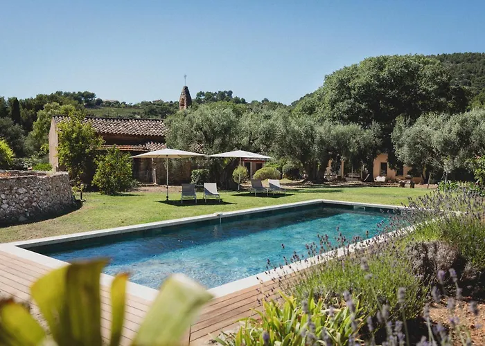 Bed and Breakfast Bastide Sainte Trinide à Sanary-sur-Mer