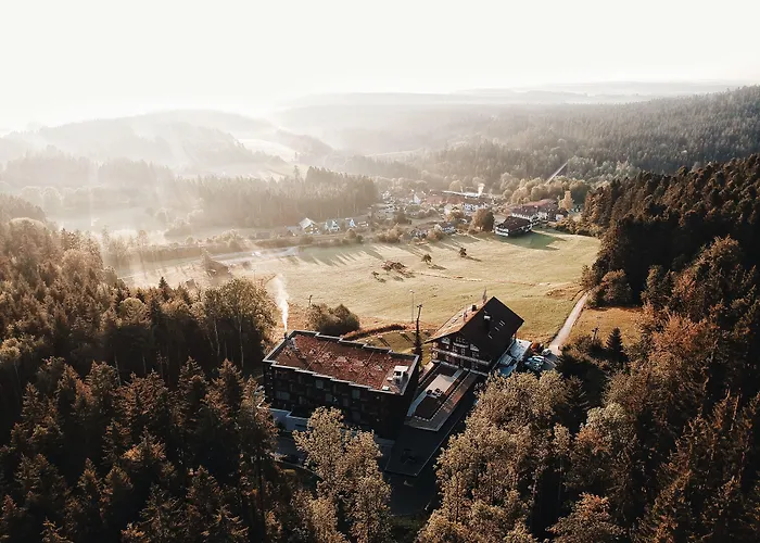 Hotel Fritz Lauterbad à Freudenstadt